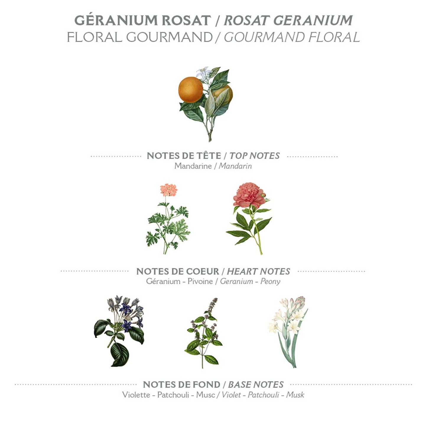 Eau de toilette 50 ml | Rosengeranium