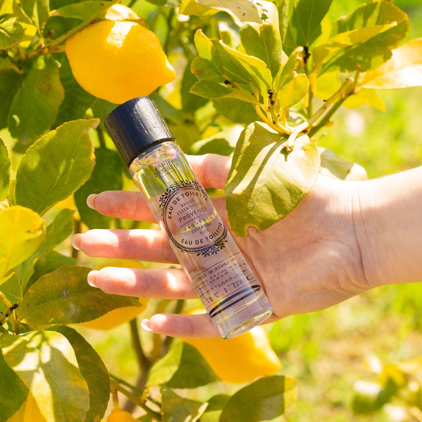 Eau de Toilette 50 ml | Provence